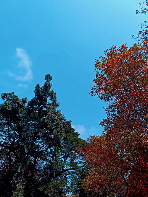 穿越火线